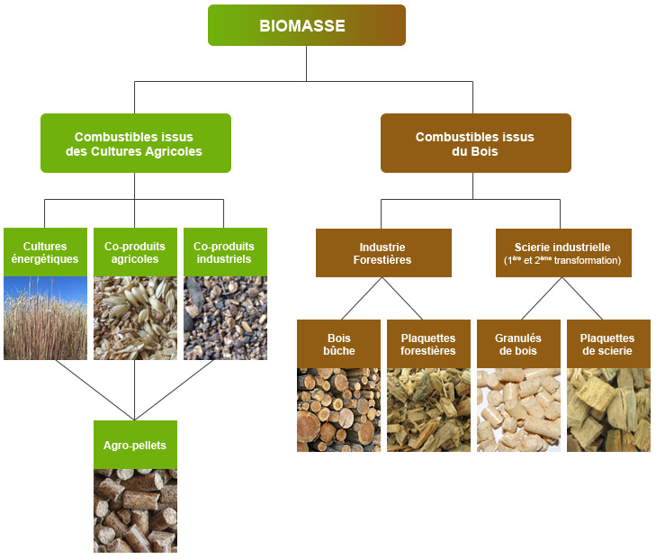 Les combustibles biomasse - RAGT Energie