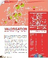 valorisation bois feuillus en granulés bois standardisés