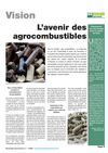 L'avenir des agrocombustibles