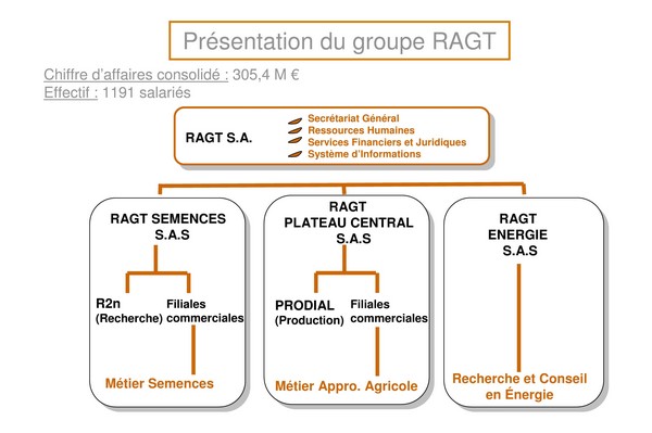 Organigramme Groupe RAGT